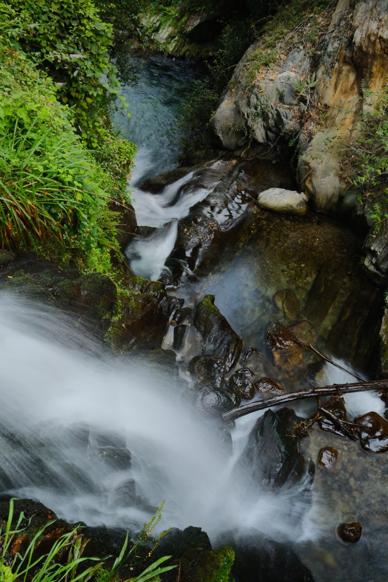 Photograph taken in September 2026 with the Fujifilm X100VI