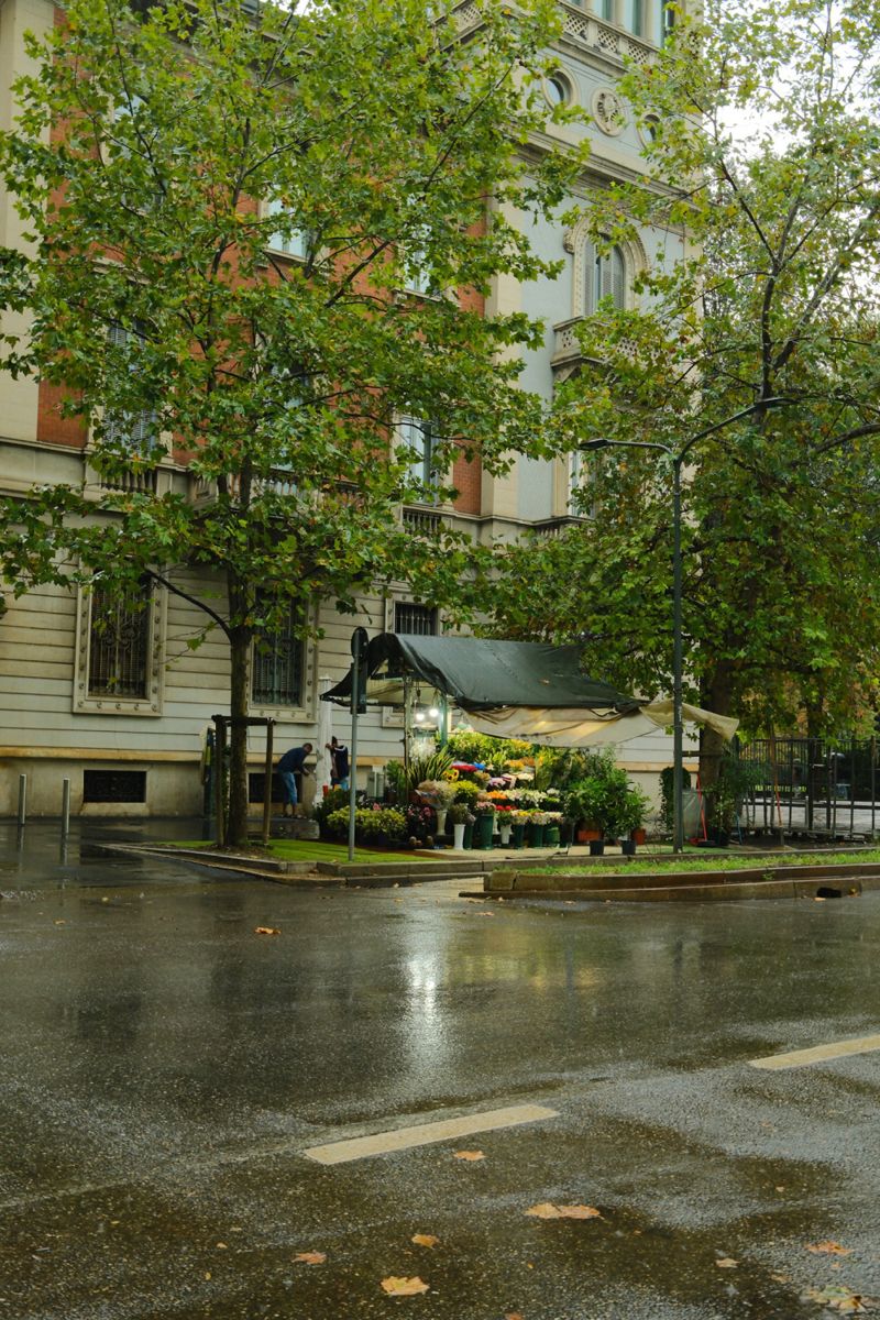 Photograph taken in September 2026 with the Fujifilm X100VI
