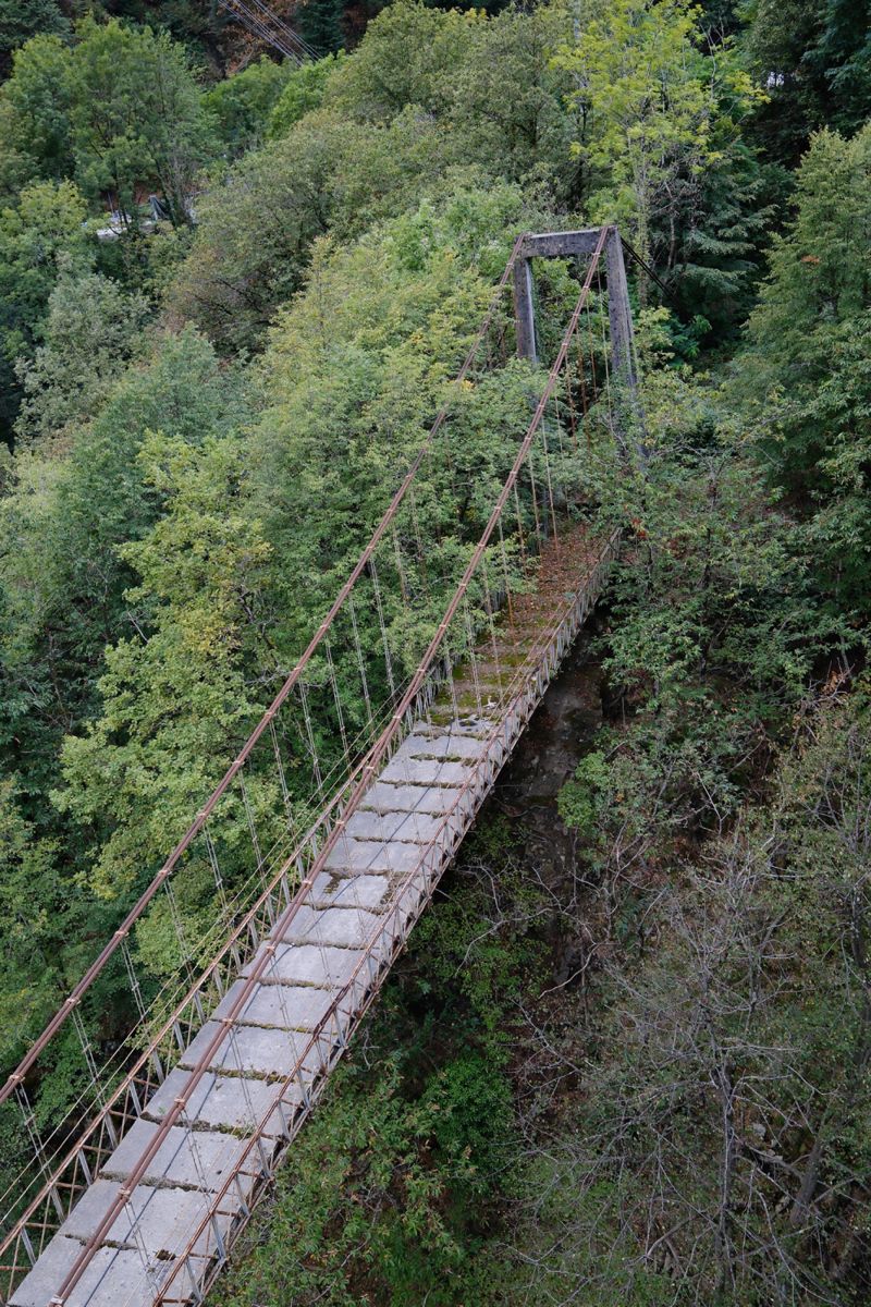 Photograph taken in September 2026 with the Fujifilm X100VI