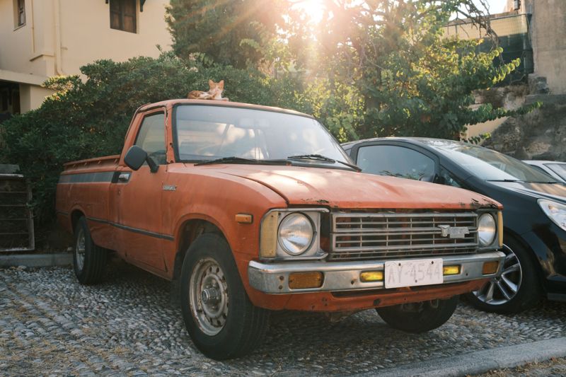 Photograph taken in August 2026 with the Fujifilm X100VI