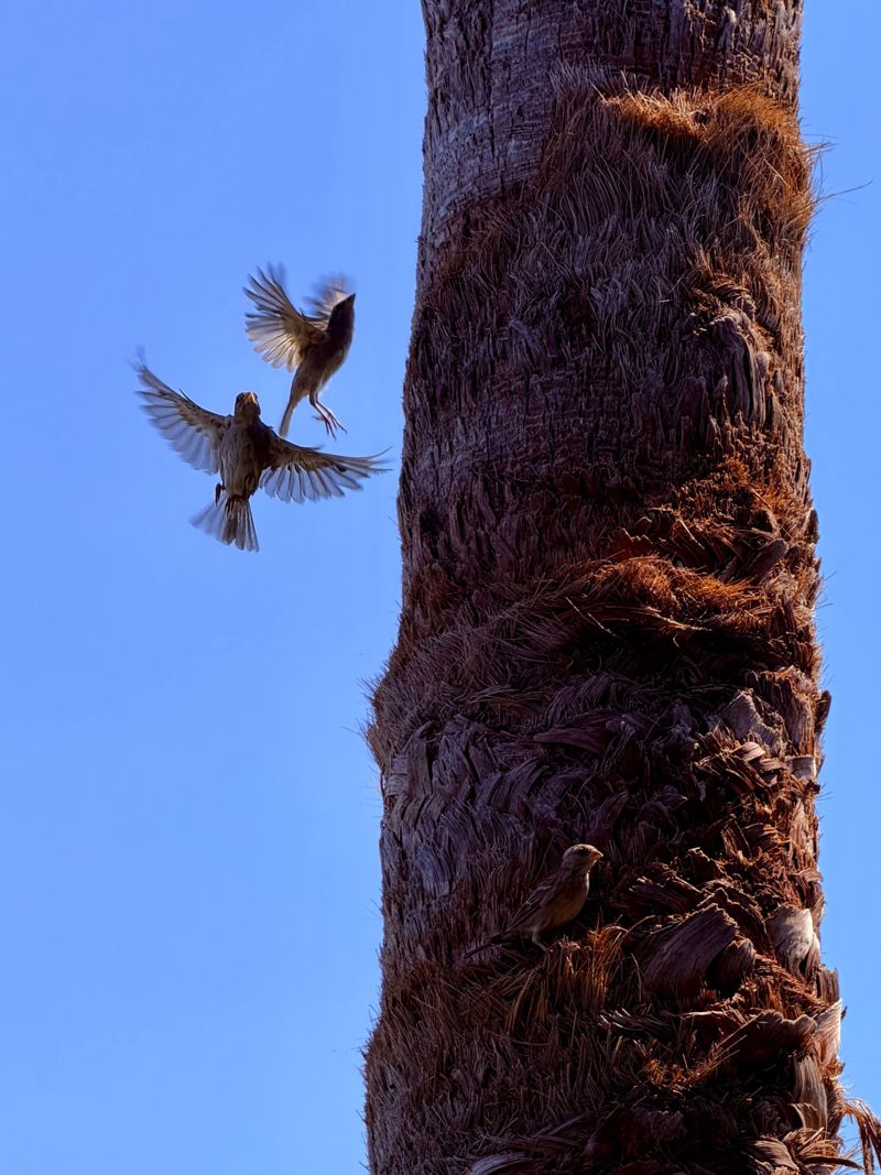 Photograph taken in August 2026 with the Apple iPhone 17 Pro