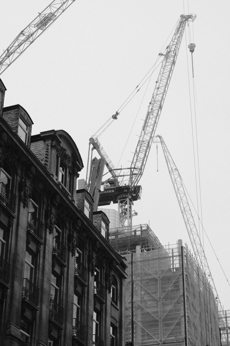 Photograph taken in November 2025 with the Fujifilm X100VI
