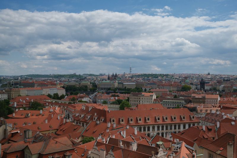 Photograph taken in May 2025 with the Fujifilm X100VI