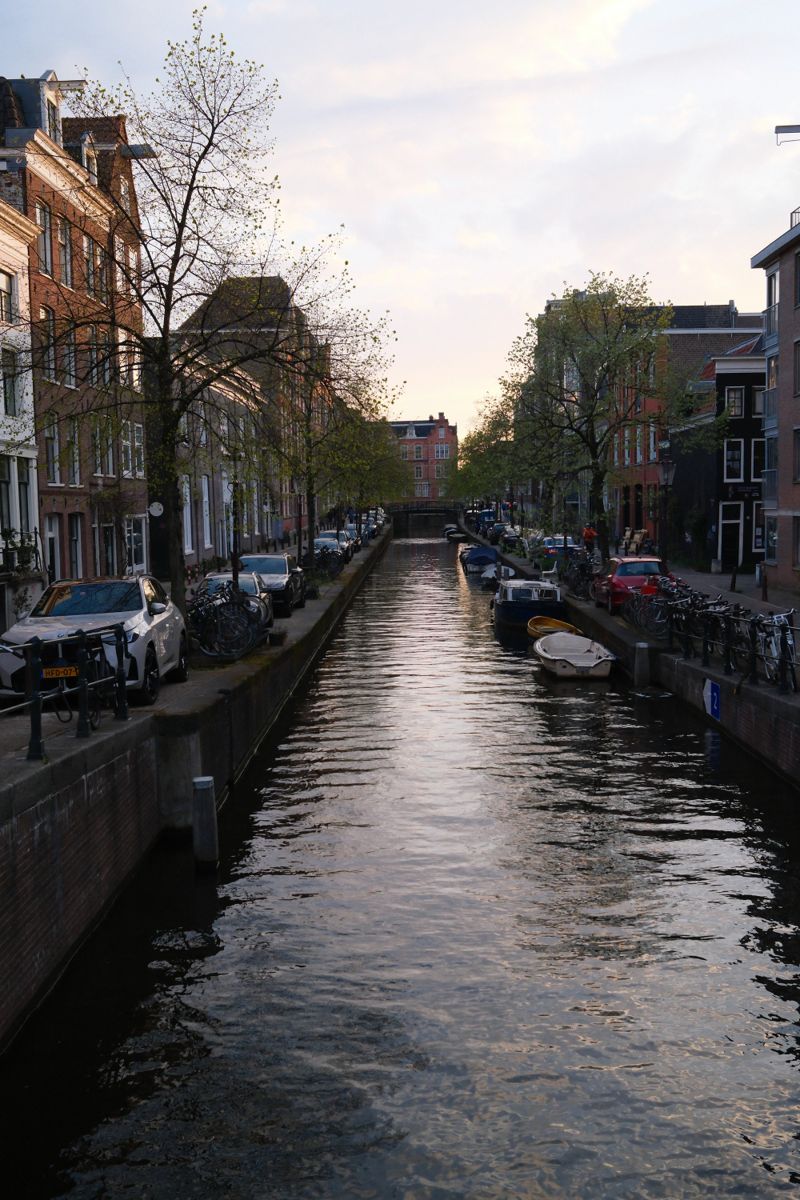 Photograph taken in April 2025 with the Fujifilm X100VI