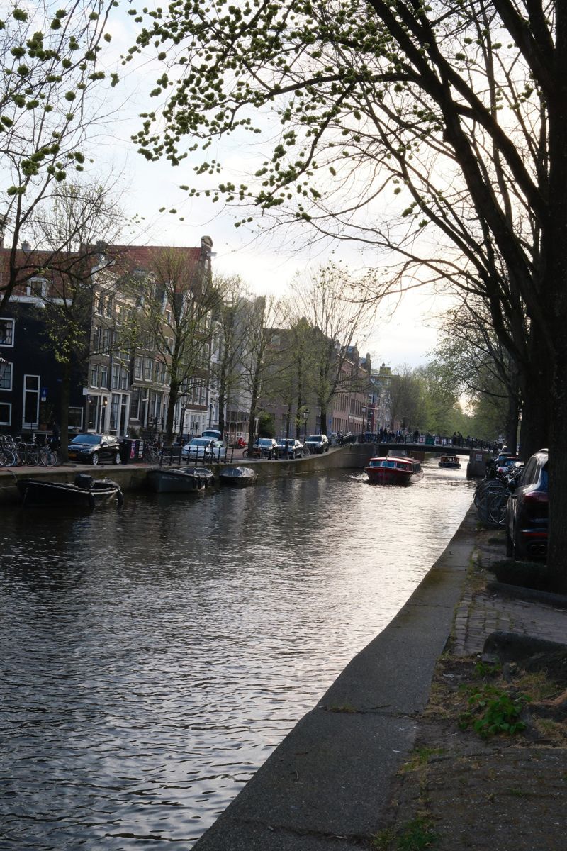Photograph taken in April 2025 with the Fujifilm X100VI