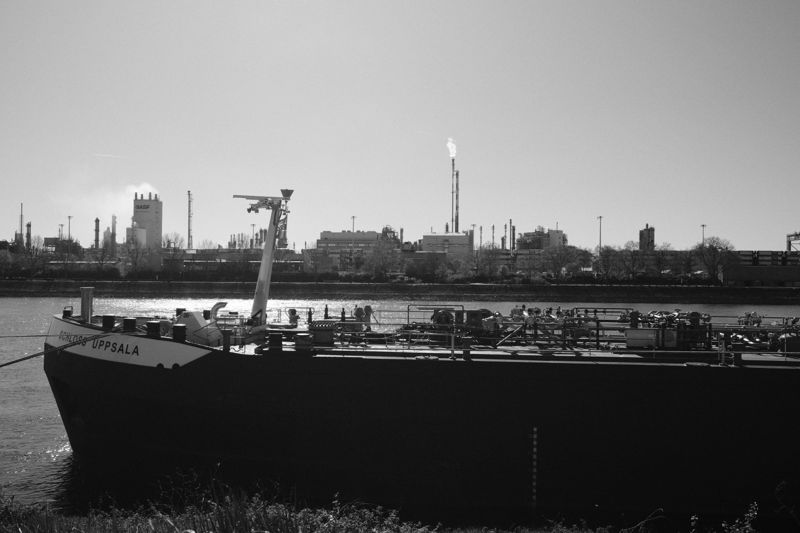 Photograph taken in April 2025 with the Fujifilm X100VI