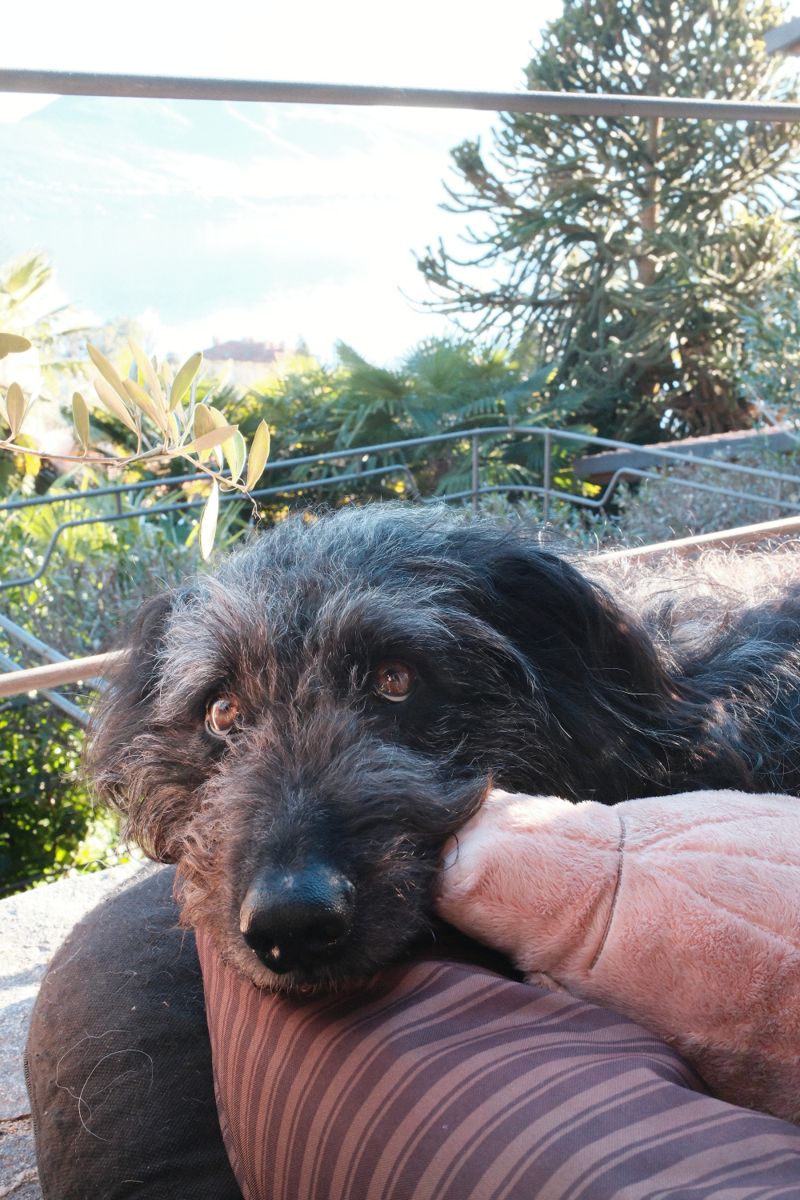 Photograph taken in December 2024 with the Fujifilm X100VI