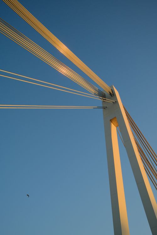 Foto aus dem September 2026, aufgenommen mit Fujifilm X100VI