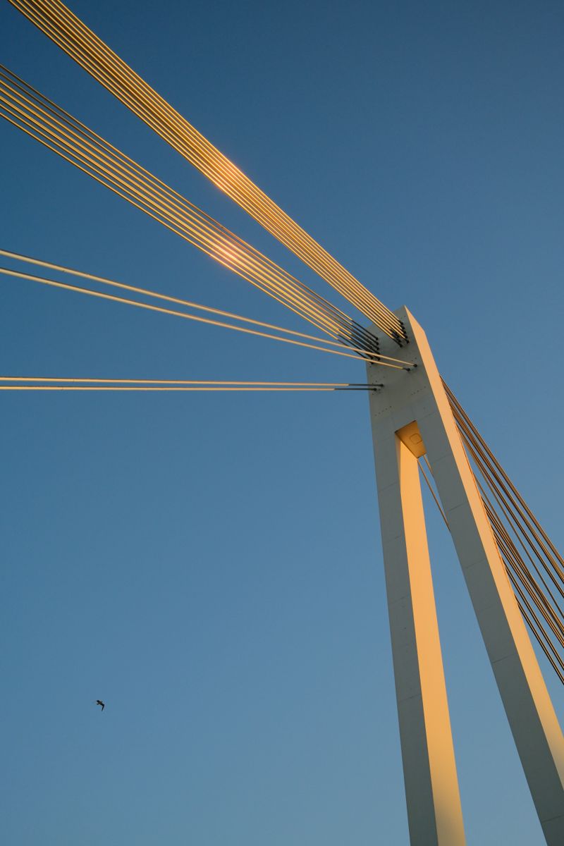 Photograph taken in September 2026 with the Fujifilm X100VI