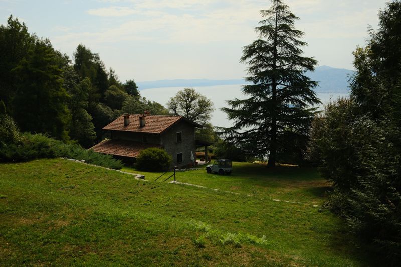 Photograph taken in September 2026 with the Fujifilm X100VI